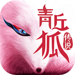 红色德州扑克衣服